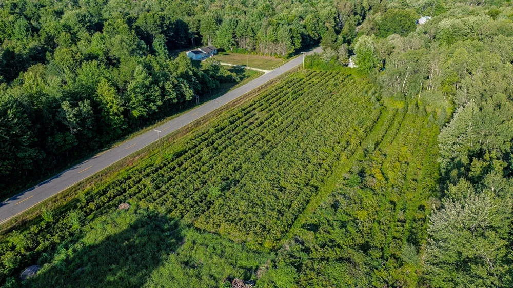 V/L Holton rd Road Twin Lake, MI 49457