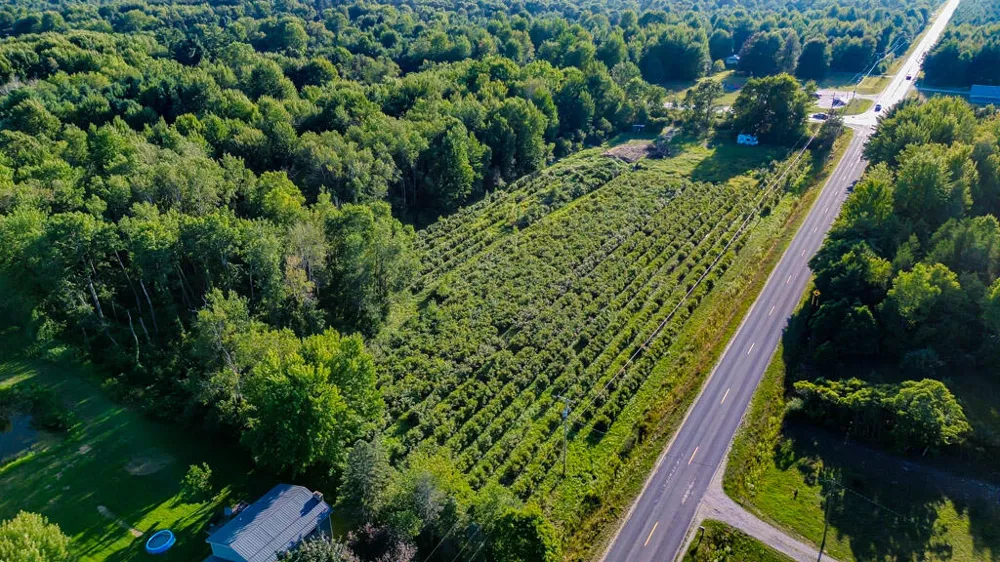 V/L Holton rd Road Twin Lake, MI 49457