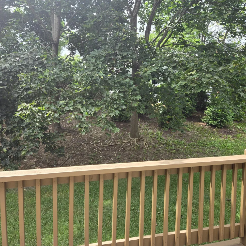 3497 Huron View Court Dexter, MI 48130