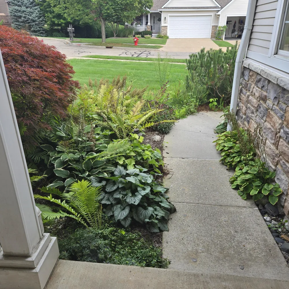 3497 Huron View Court Dexter, MI 48130
