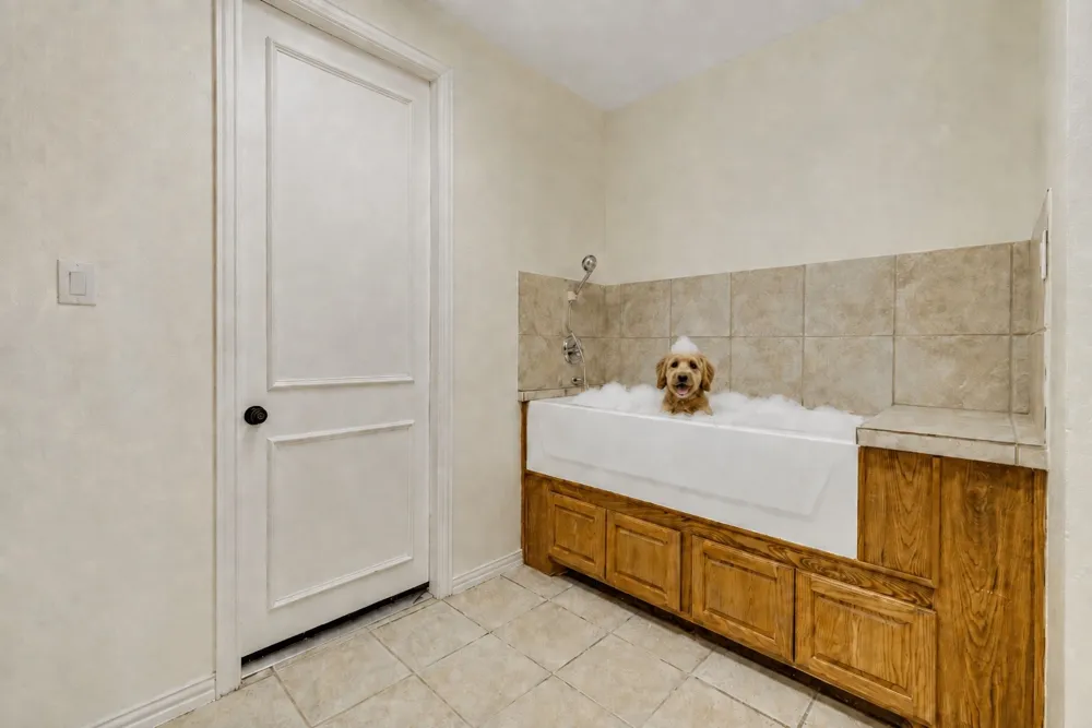 465 Bee Caves Road Lucas, TX 75002
