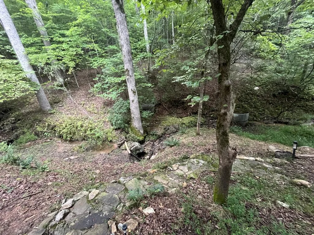1543 Tipton Springs Road Morganton, GA 30560