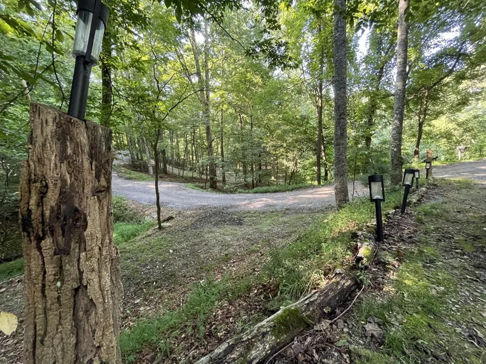 1543 Tipton Springs Road Morganton, GA 30560