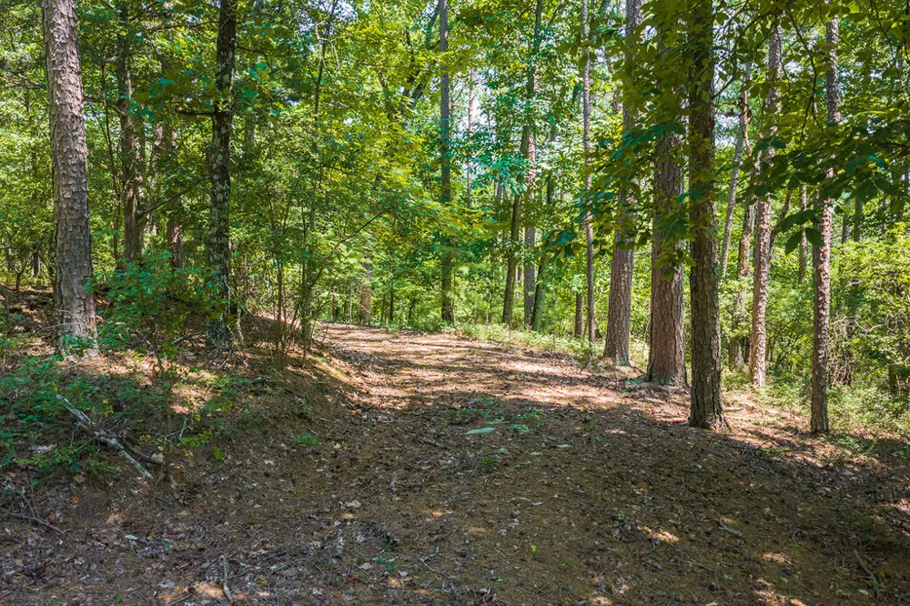 694-695 Railey Ridge Ranger, GA 30734
