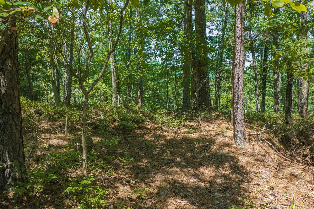 694-695 Railey Ridge Ranger, GA 30734