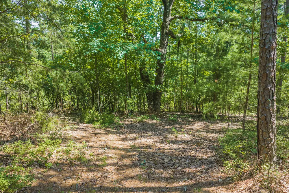 694-695 Railey Ridge Ranger, GA 30734