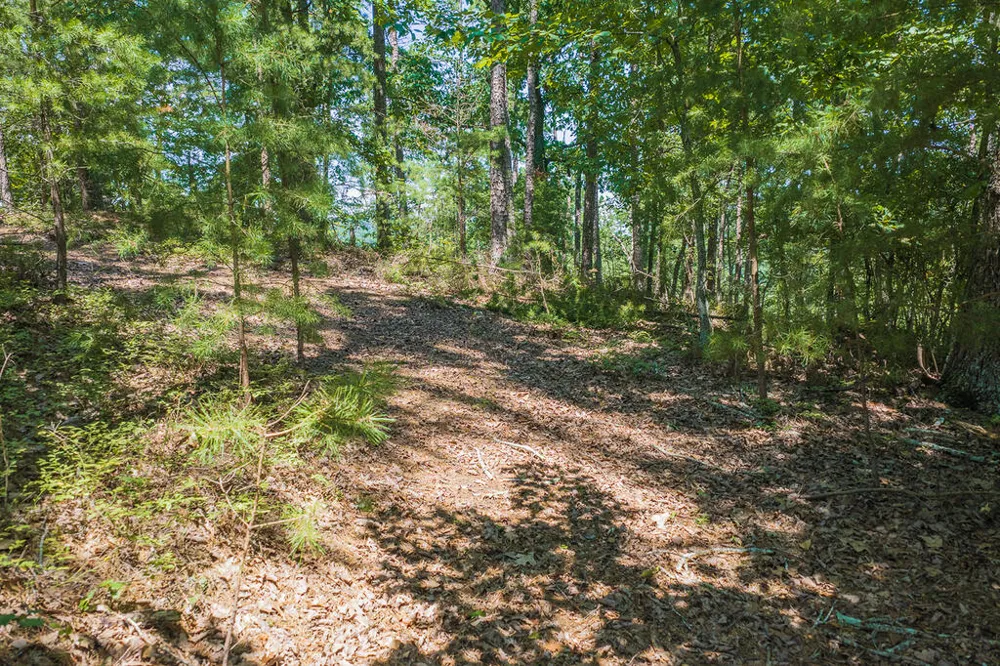 694-695 Railey Ridge Ranger, GA 30734