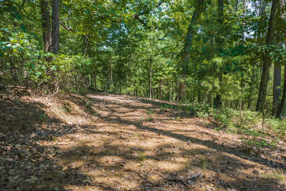 694-695 Railey Ridge Ranger, GA 30734