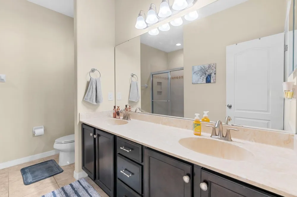 12009 RAMBLING STREAM Riverview, FL 33569