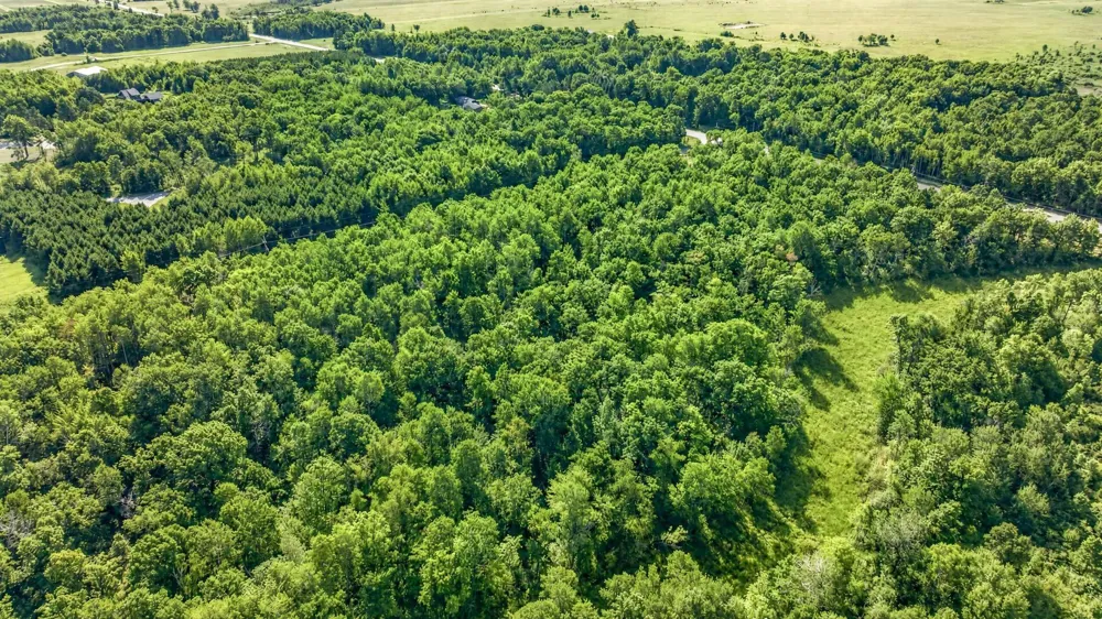 Lot 1 25th Avenue SW Pequot Lakes, MN 56472