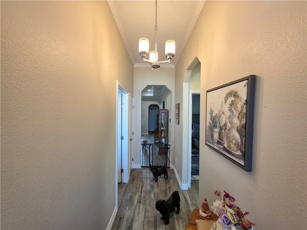 3901 Pennine Way Corpus Christi, TX 78414
