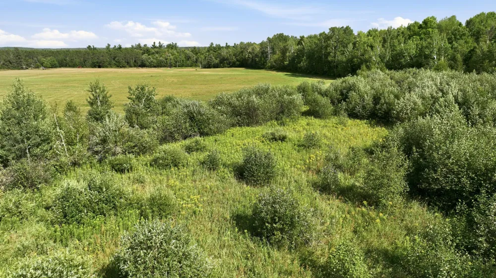10 Acres State Hwy 40 Bruce, WI 54819