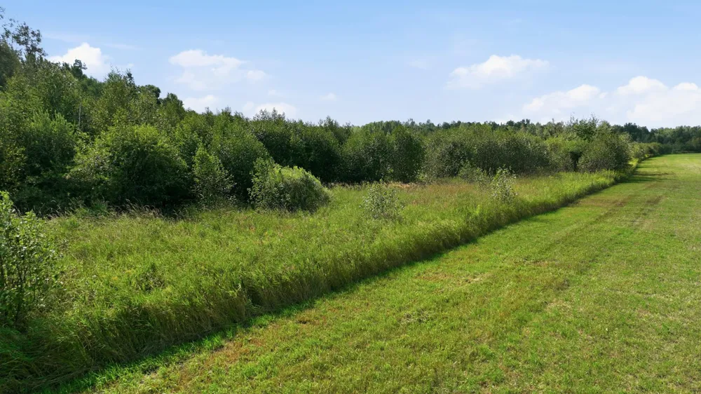 10 Acres State Hwy 40 Bruce, WI 54819