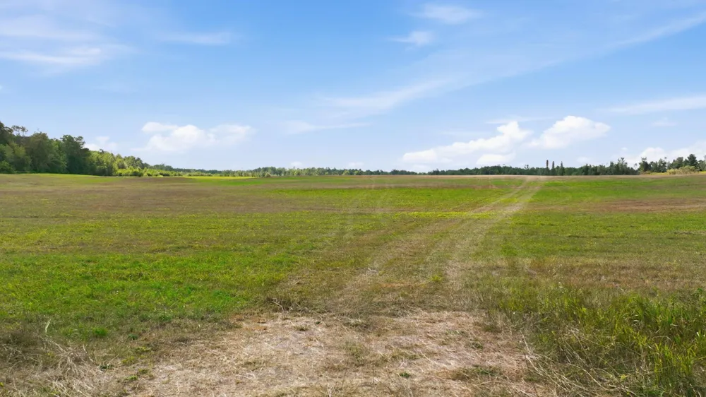 10 Acres State Hwy 40 Bruce, WI 54819