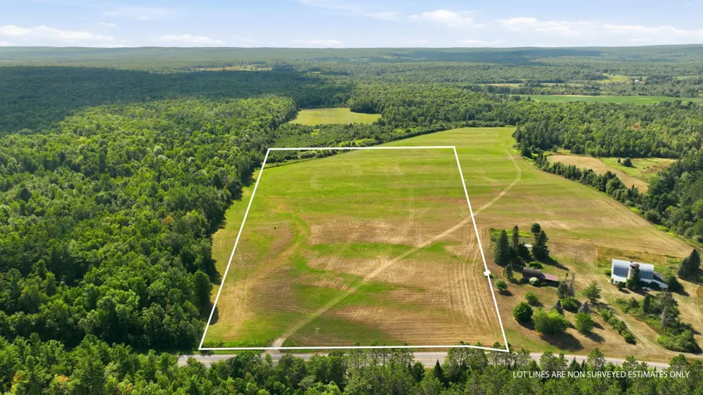 10 Acres State Hwy 40 Bruce, WI 54819
