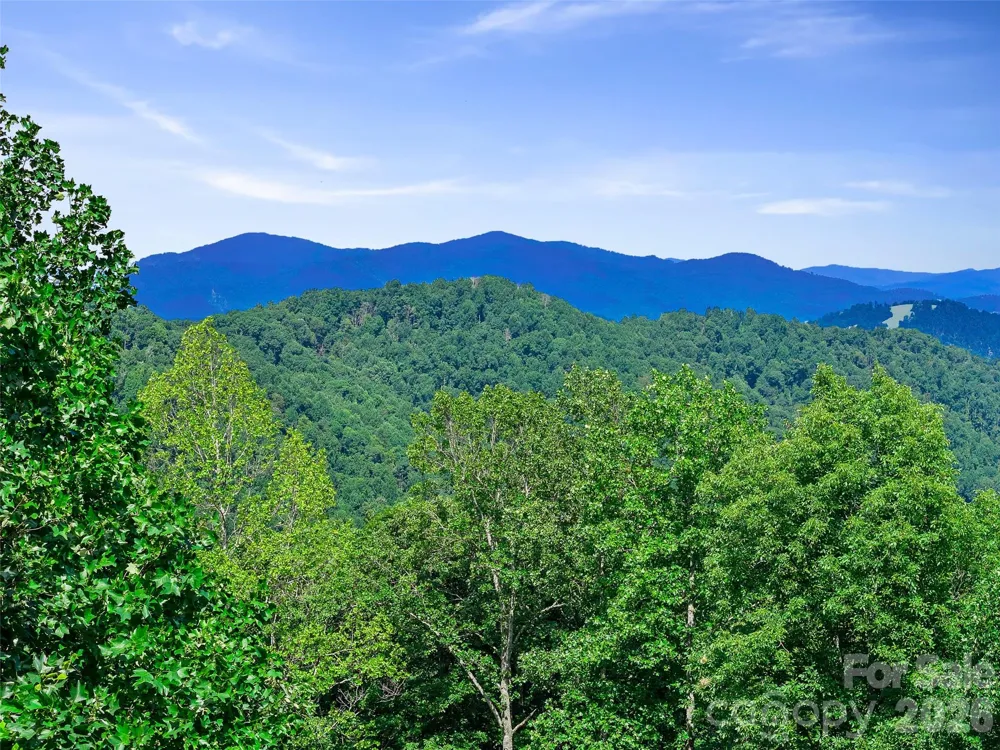 185 Blue Bird Lane Spruce Pine, NC 28777