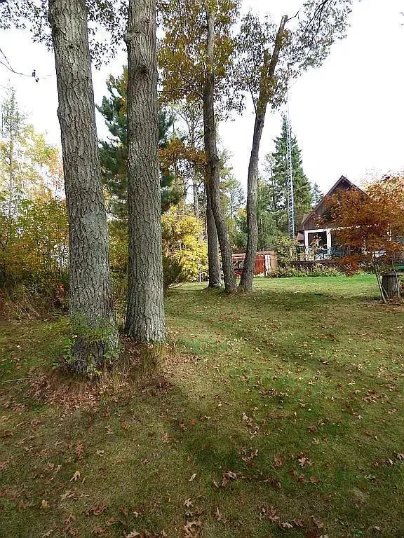 22519 County Road 3 Merrifield, MN 56465