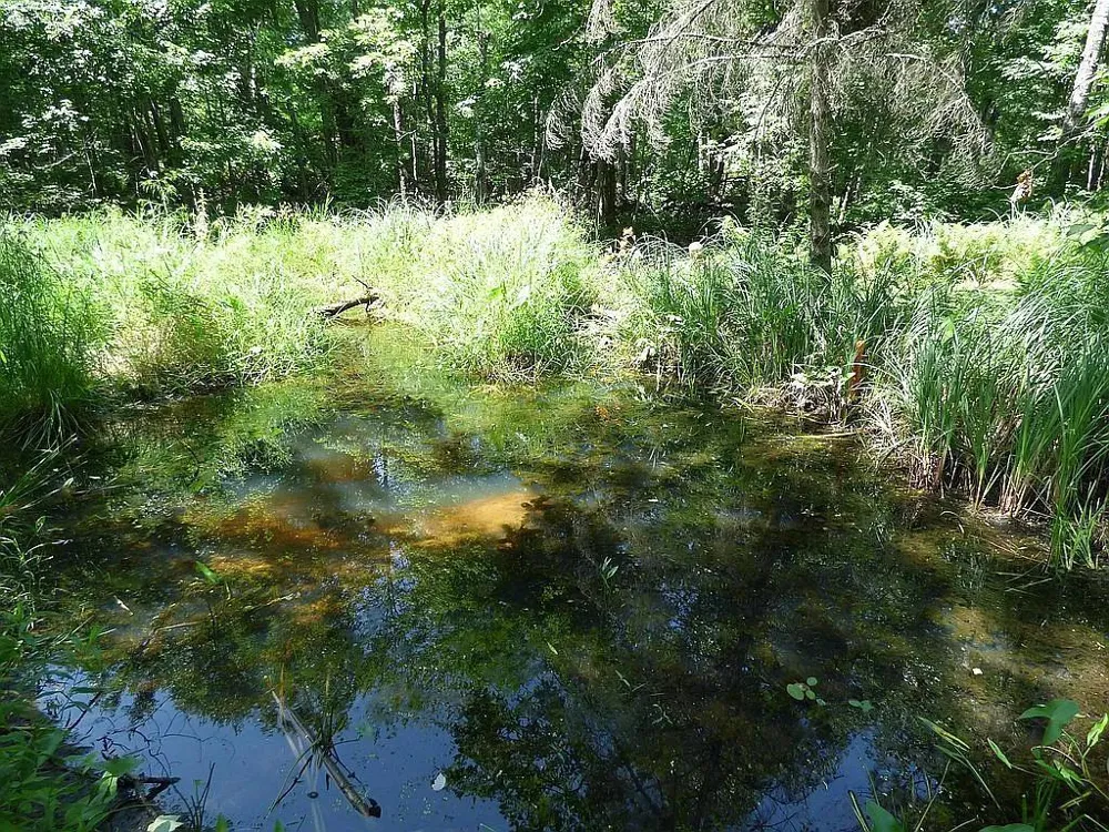 22519 County Road 3 Merrifield, MN 56465