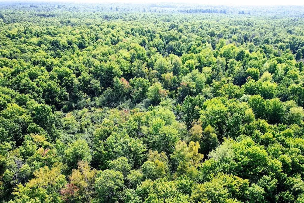 W8185 County Road J Ladysmith, WI 54848