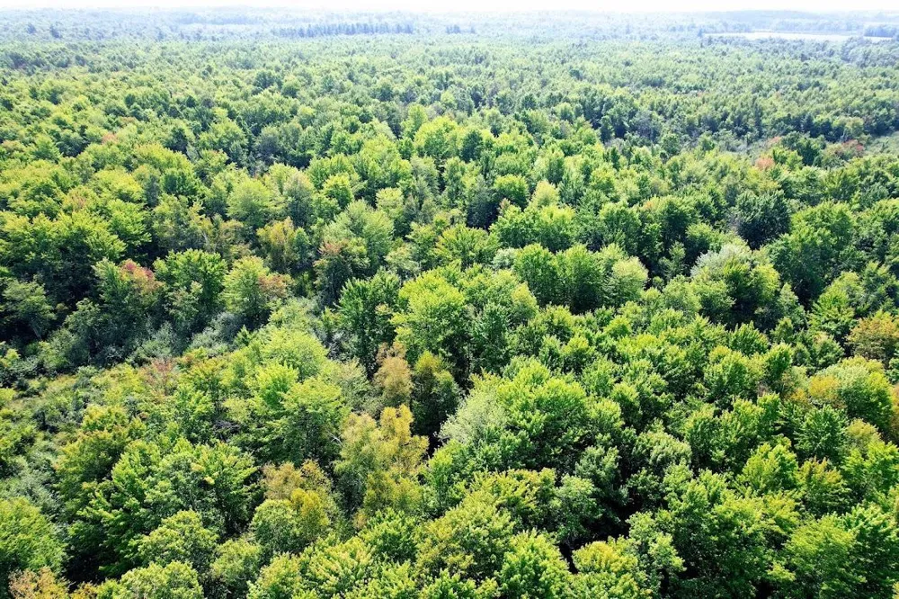 W8185 County Road J Ladysmith, WI 54848