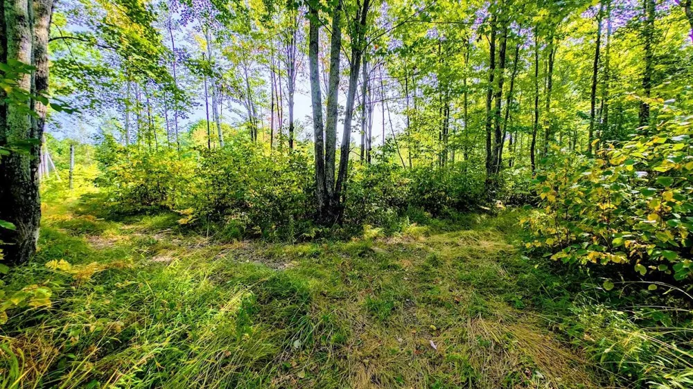 W8185 County Road J Ladysmith, WI 54848