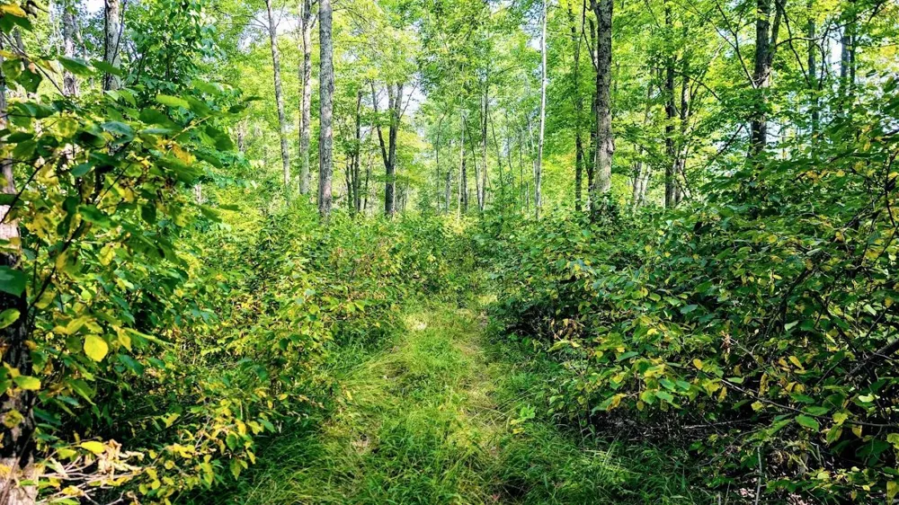 W8185 County Road J Ladysmith, WI 54848