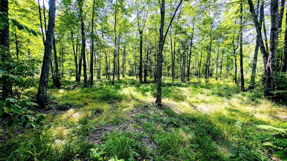 W8185 County Road J Ladysmith, WI 54848