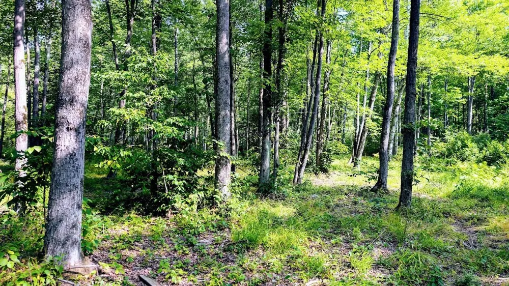 W8185 County Road J Ladysmith, WI 54848