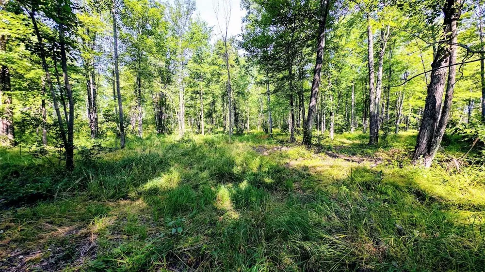 W8185 County Road J Ladysmith, WI 54848