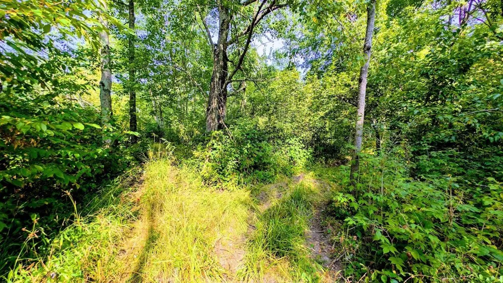 W8185 County Road J Ladysmith, WI 54848