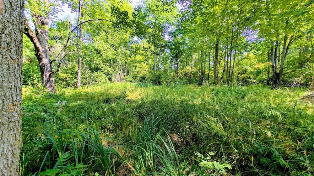 W8185 County Road J Ladysmith, WI 54848
