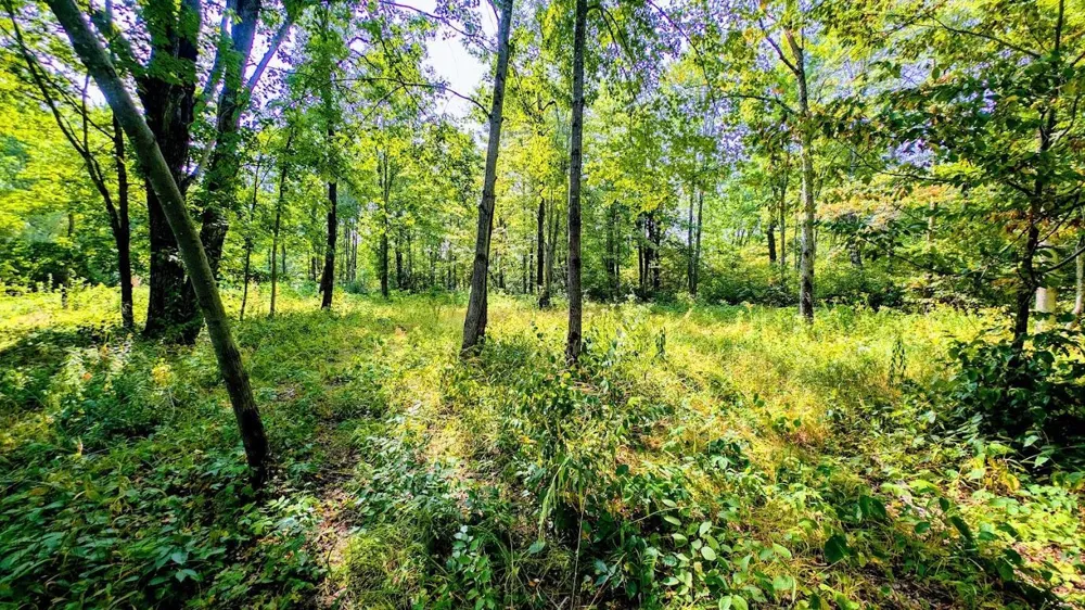 W8185 County Road J Ladysmith, WI 54848