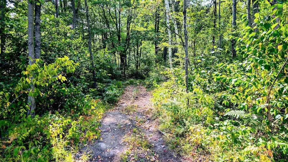 W8185 County Road J Ladysmith, WI 54848