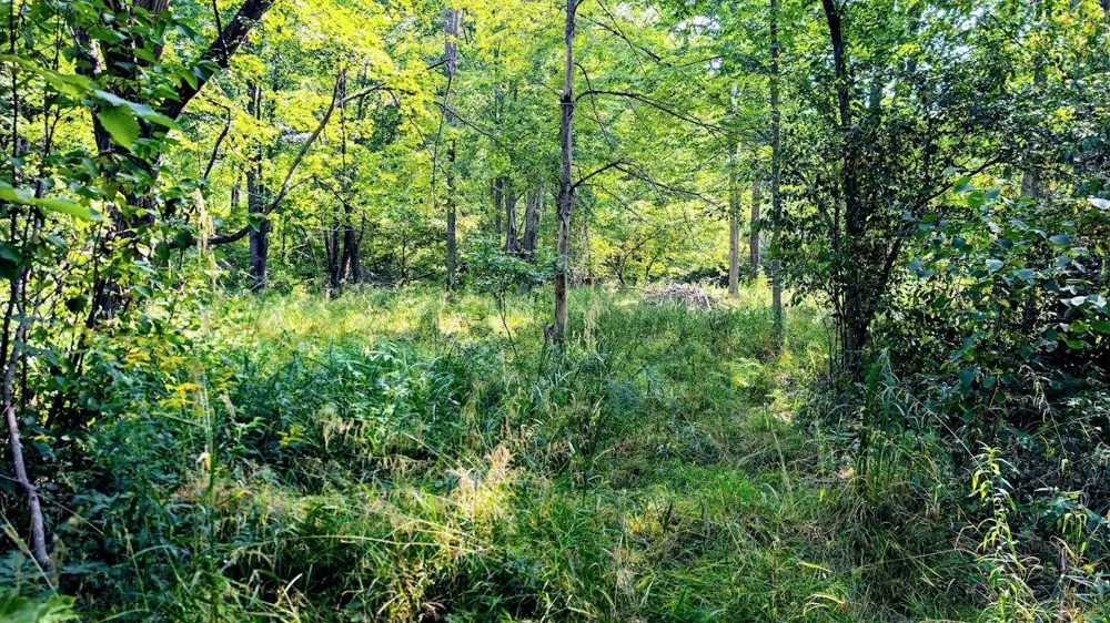 W8185 County Road J Ladysmith, WI 54848