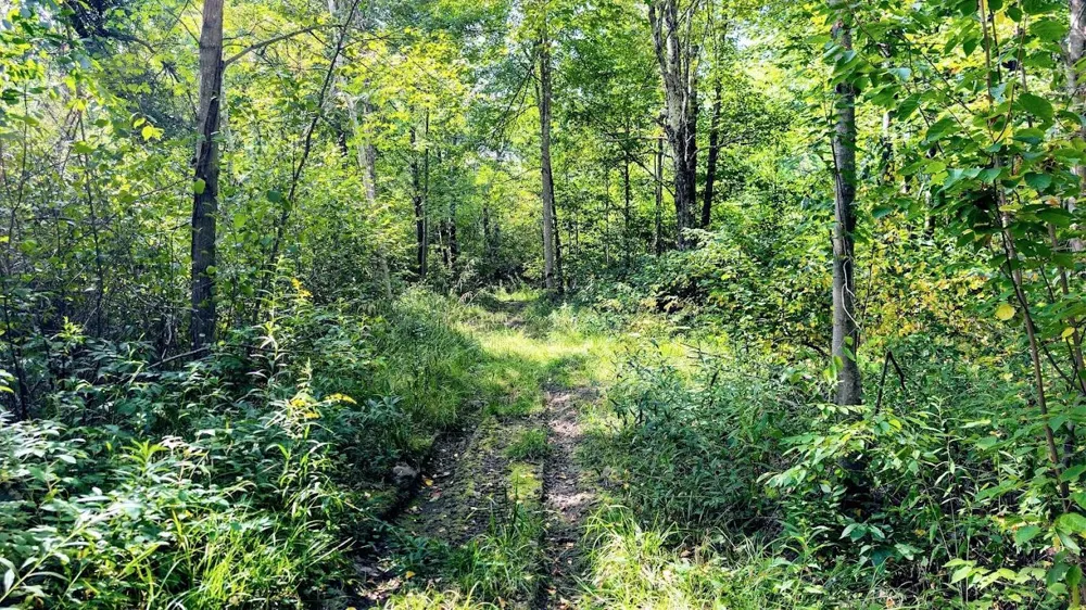 W8185 County Road J Ladysmith, WI 54848