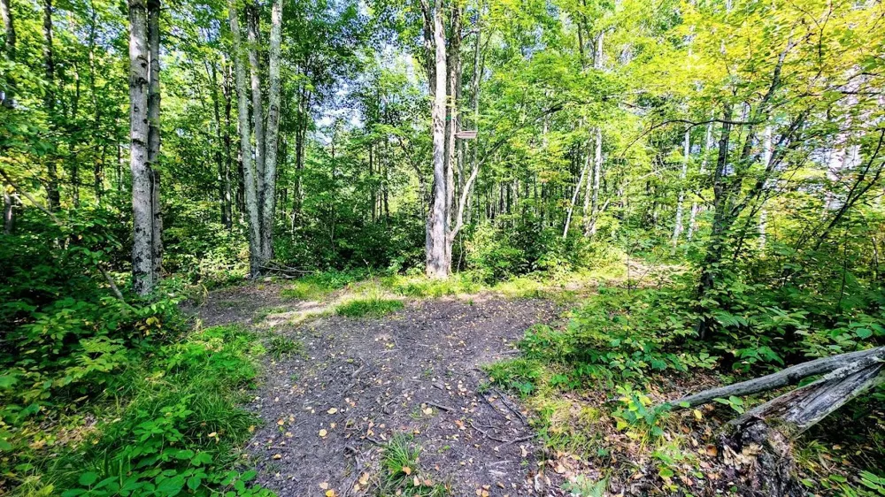 W8185 County Road J Ladysmith, WI 54848