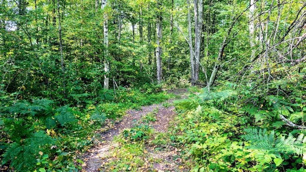 W8185 County Road J Ladysmith, WI 54848