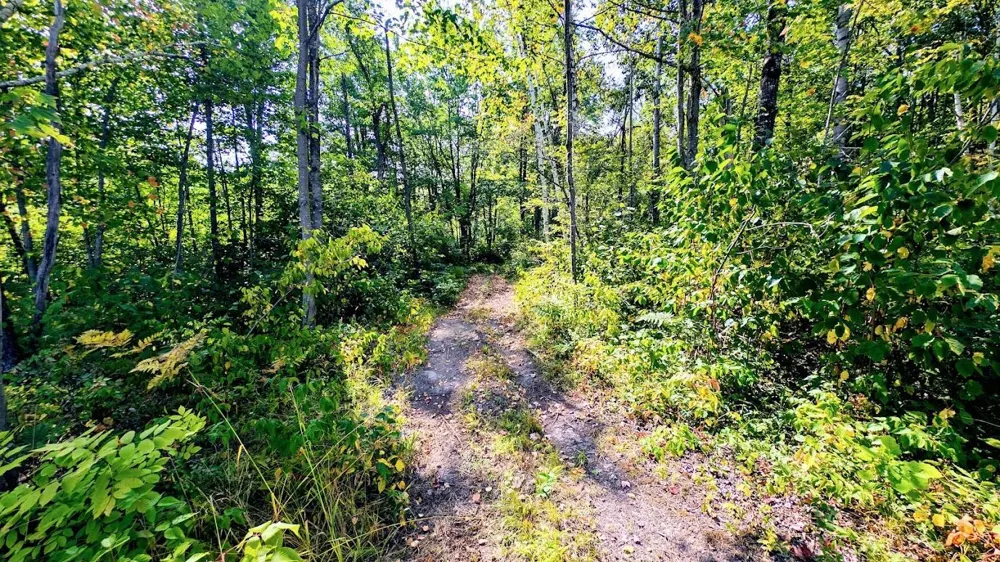 W8185 County Road J Ladysmith, WI 54848