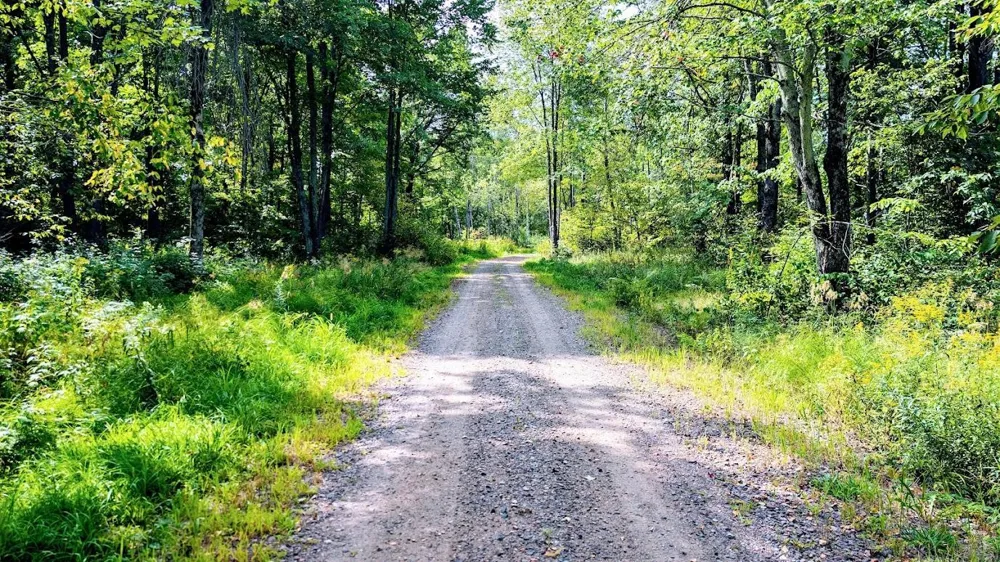 W8185 County Road J Ladysmith, WI 54848