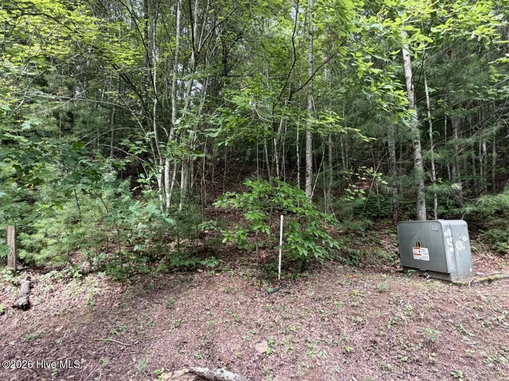 Lot 9 Confederate Circle Murphy, NC 28906