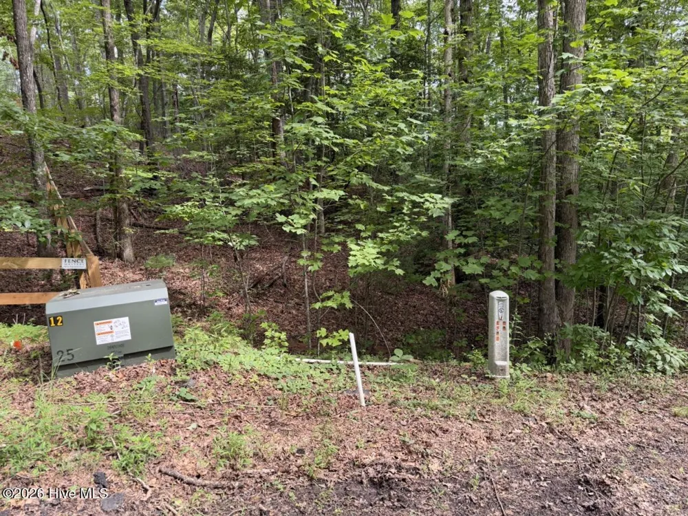 Lot 9 Confederate Circle Murphy, NC 28906