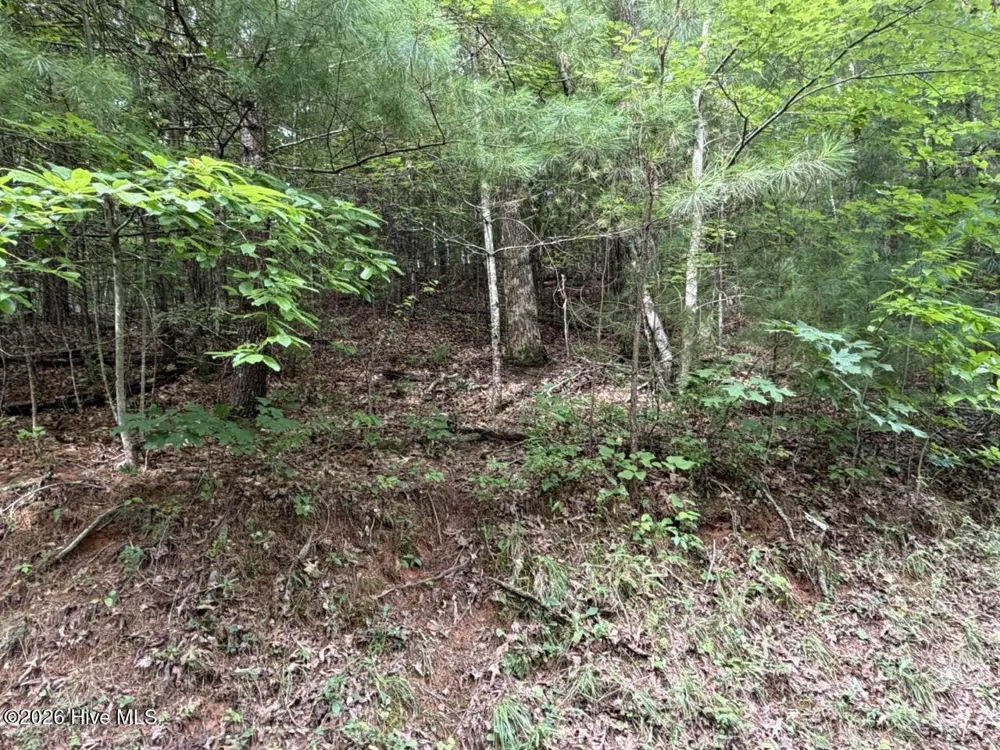 Lot 9 Confederate Circle Murphy, NC 28906