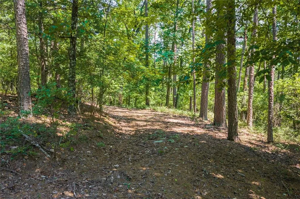 694-95 Railey Ridge Ranger, GA 30734