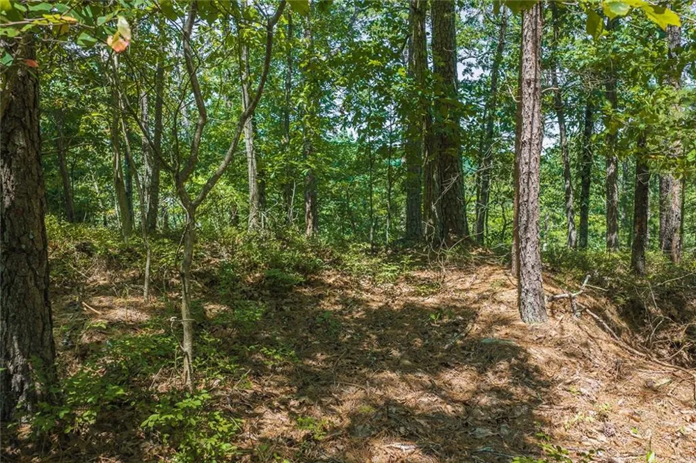694-95 Railey Ridge Ranger, GA 30734