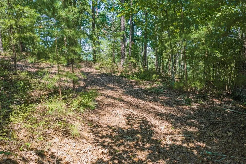 694-95 Railey Ridge Ranger, GA 30734