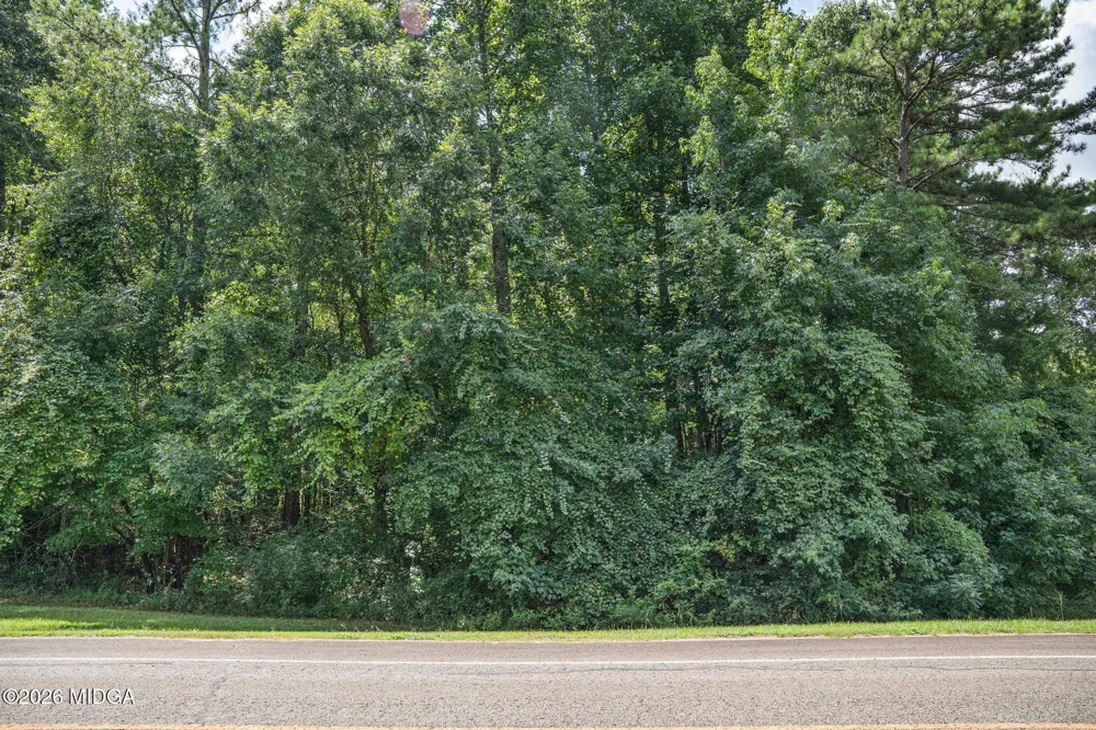 111 Crescent Drive Forsyth, GA 31029