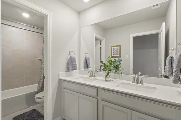 2316 Willow Garden Drive Little Elm, TX 75068
