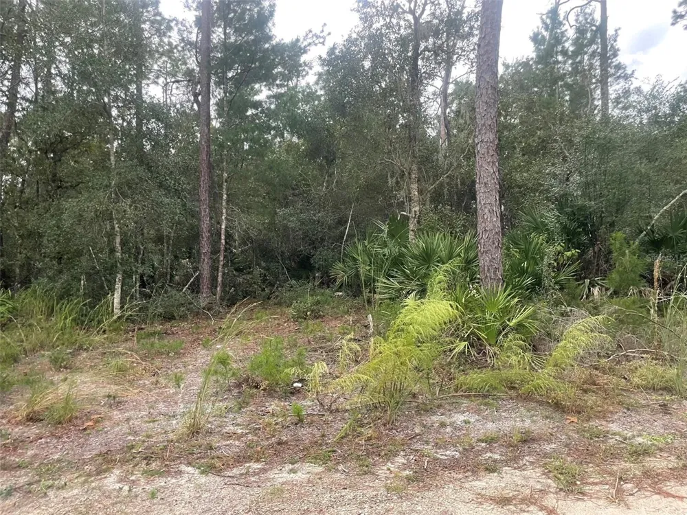 1783 TAYLOR ROAD Port Orange, FL 32128