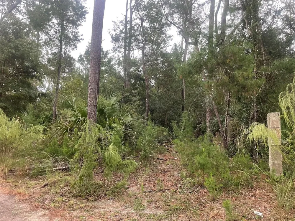 1783 TAYLOR ROAD Port Orange, FL 32128