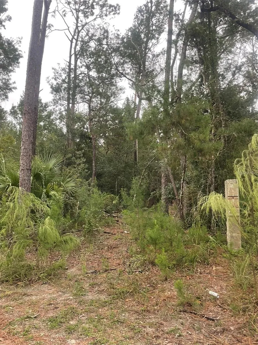 1783 TAYLOR ROAD Port Orange, FL 32128